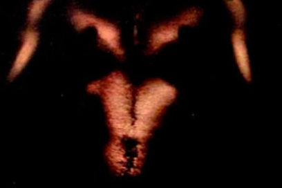 Esteban Montejo cuenta su historia