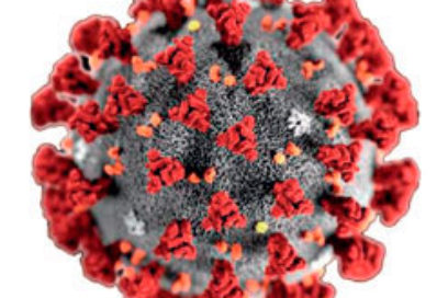 El virus nos cambió la vida (Infografía)