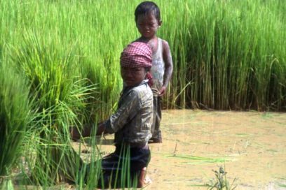 OIT: La pandemia de la Covid 19 ha empeorado la situación del trabajo infantil