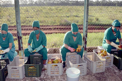 Mantienen minindustrias de Artemisa estabilidad productiva