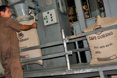 Café Alto Serra empeñado en la exportación