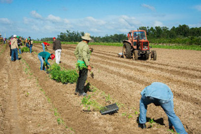 Machado Ventura intercambio con productores y directivos de la Agricultura en Pinar del Río