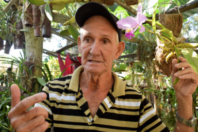 RETRATOS: Las orquídeas de Miñín