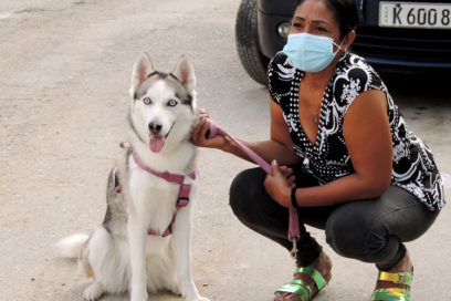 Antirrábicas por la vida (Fotorreportaje)
