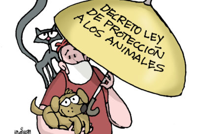 LA GUAGUA: Bienestar animal (+ Video)