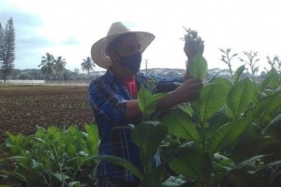 Haciendo ciencia e innovación «pegados a la tierra»