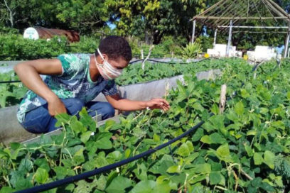 Aumenta interés por el empleo en Cienfuegos