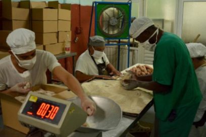 Consejo de Ministros: En la senda de perfeccionar el proyecto social y económico cubano