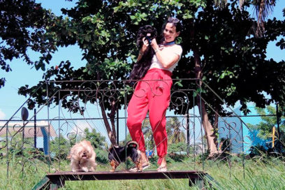 Bienestar animal hecho ley (+ Fotos y Video)