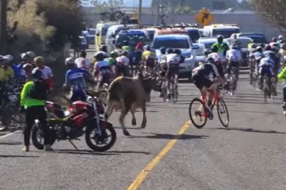 Jalapa y su toro ciclista