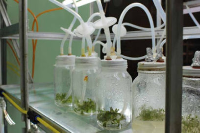 Centro de Desarrollo de la Montaña: los desafíos frente a la pandemia