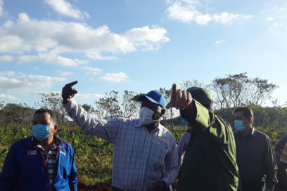 Evalúa Salvador Valdés Mesa producción de alimentos en Matanzas (+Fotos)