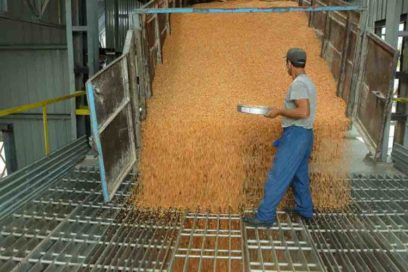 En plena capacidad de producción nueva Planta de Granos (+Fotos)