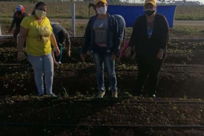 Féminas fertilizan la tierra espirituana
