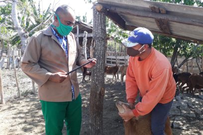 La prevención de enfermedades, quid para el bienestar animal