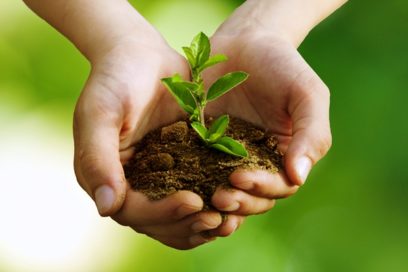 Ciencia y tradición = + alimentos (+ Fotos)