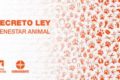 Decreto ley de bienestar animal en Cuba: Una apuesta por la vida (+ Video)