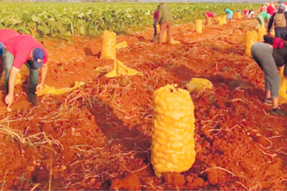 Aporte sindical en campaña papera