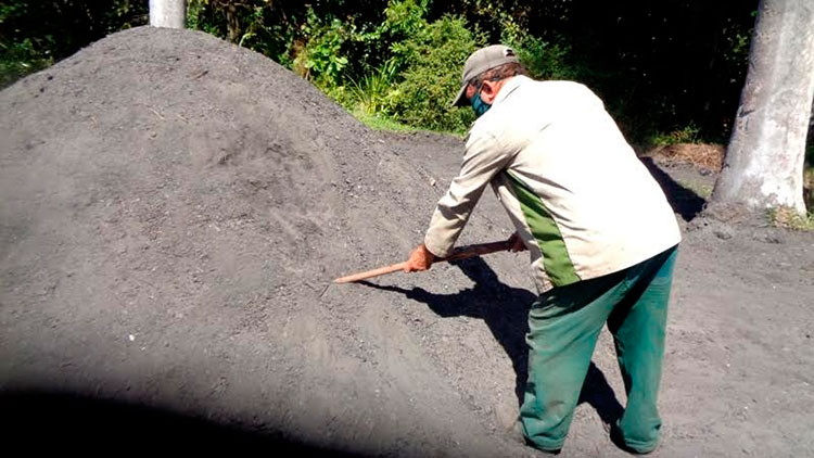 Incrementar los medios de trabajo y la fuerza laboral son premisas en Holguín para recuperar la producción carbonera. Foto: Lianne Fonseca