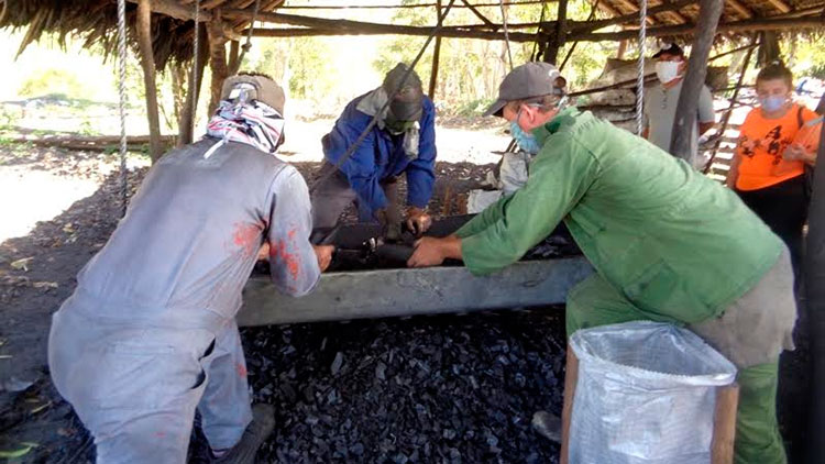 En la UEB de Camazán el beneficio del carbón se hace forma manual. Foto: Lianne Fonseca