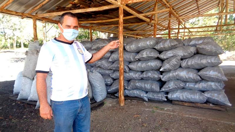Douglas Lucas asegura que en Camazán se contrata a toda la fuerza de trabajo que se interese en la producción de carbón y se adoptan alternativas para mitigar la falta de recursos. Foto: Lianne Fonseca