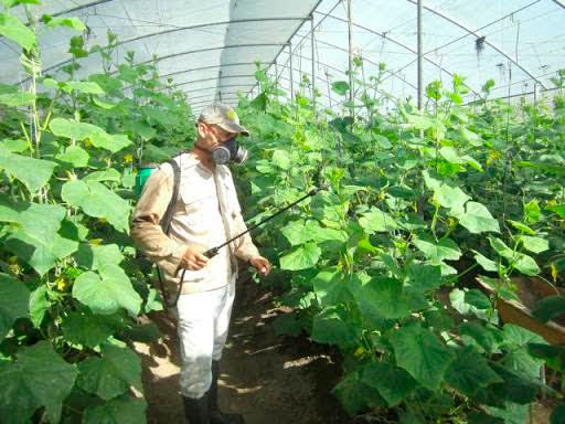 La ciencia en función de la producción. Foto: Periódico Escambray