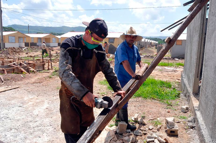 Los jóvenes demuestran en cada jornada voluntad e ímpetu. Foto: José Raúl Rodríguez Robleda