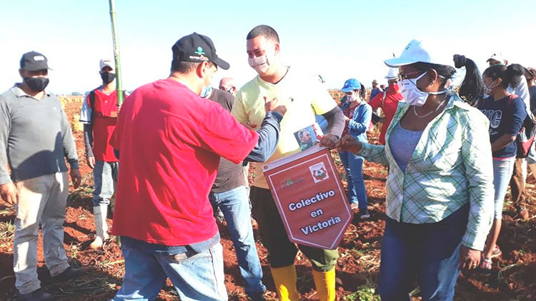 Liván Izquierdo Alonso entregó la condición de Victoria a la Unidad Empresarial de Base Agrícola por sus óptimos resultados en la presente campaña papera. Foto: Noryis