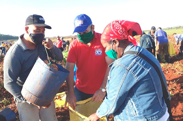 José Antonio Pérez (en el centro) y Osmar Ramírez ponderaron los aportes productivos por su posibilidad de tributar a la alimentación del pueblo. Foto: Noryis