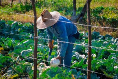 Presentan proyecto Cuba-Italia para agricultura habanera