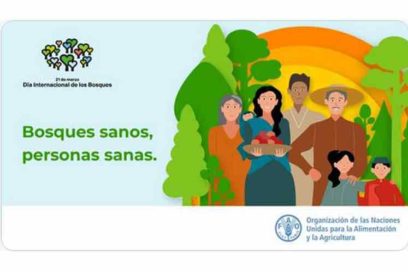 Apela la FAO a compromiso mundial para recuperación y bienestar