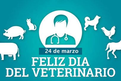 Día del Trabajador de la Medicina Veterinaria: Desafíos y recompensas