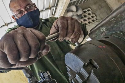 Laboriosidad en buenas manos (Fotorreportaje)