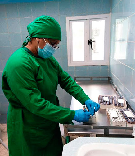 Dentro del laboratorio, como en el área de recepción, son mayoría las mujeres, solo cinco hombres laboran allí. Foto: Gretel Díaz Montalvo