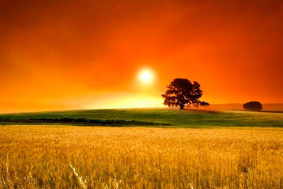 Calentamiento del planeta hace más largos los veranos