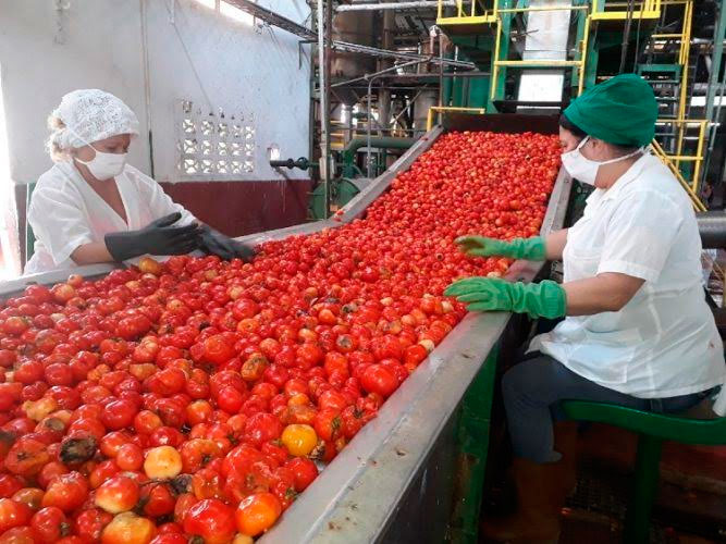 La validez del análisis del plan y el presupuesto se agranda en el actual contexto sanitario y de transformaciones económicas. Foto: Lianne Fonseca