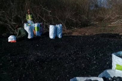 Cuatro colectivos espirituanos a la vanguardia del sector agropecuario