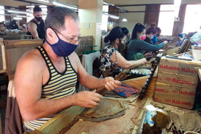 Tabaco hecho a mano, desde Artemisa (+ Fotos)