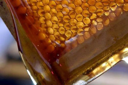 Apicultores de Las Tunas se abren nuevos caminos hacia la exportación