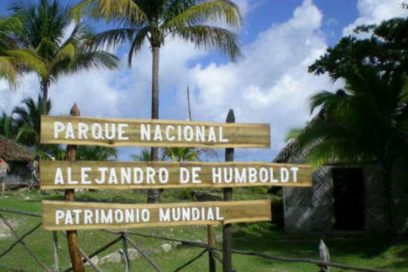 Informa Díaz-Canel sobre incendio forestal en Parque Nacional del oriente del país