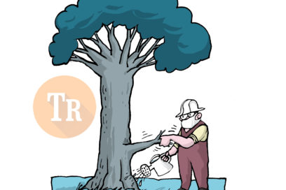 LA GUAGUA: Los árboles