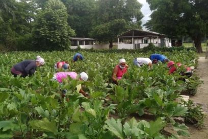 Agropecuarios con mucho más que la rodilla en tierra