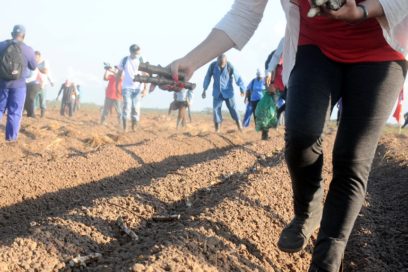Alistan trabajadores pineros festejos por el Primero de mayo