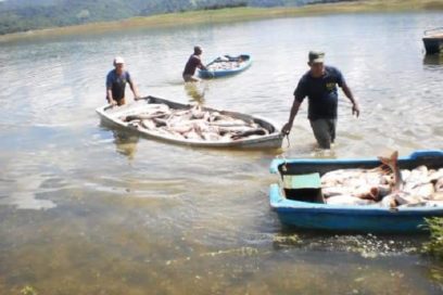 Pescagran se consolida en la vanguardia (+Fotos)