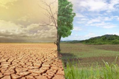 Cambio climático reduce productividad agrícola global
