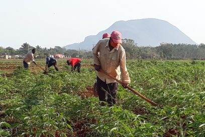 Un Primero de Mayo saludable y productivo en Matanzas (+Fotos)