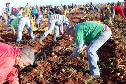 La  fuerza de los movimientos productivos