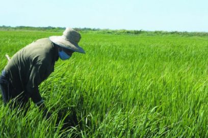Granma: Producir por un Primero de Mayo