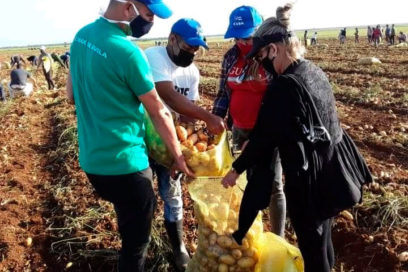 Empresa Agropecuaria La Cuba: juvenil y laboriosa (+ Fotos)
