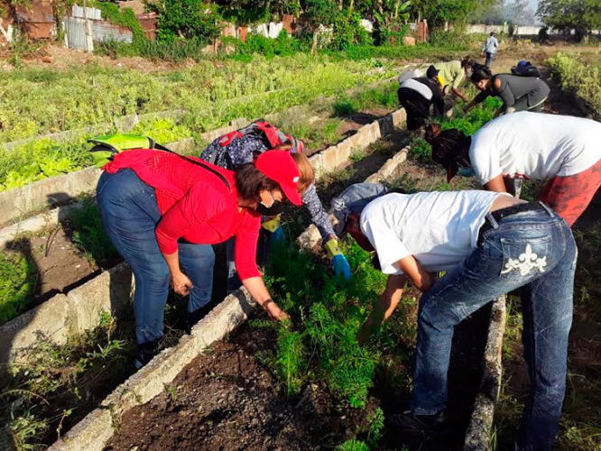 Trabajadores espirituanos y dirigentes sindicales aunaron fuerzas este fin de semana, para impulsar la producción de alimentos. Foto: Oscar Alfonso Sosa